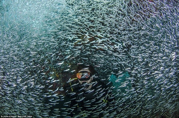 Thuyet-minh-ve-phu-quoc-1